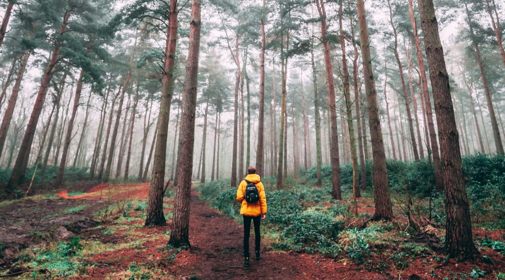 企業是改變世界最大的力量，從願景價值觀到行動｜開拓者讀後感